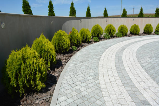 Best Driveway Pavers for Homes  in Essex, MD